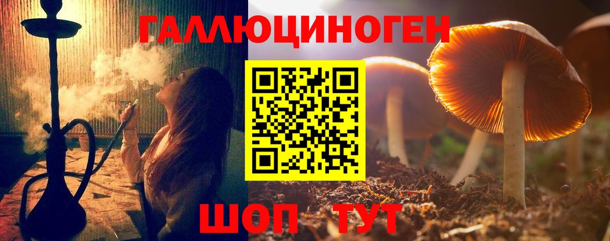 Галлюциногенные грибы Psilocybe Лабытнанги
